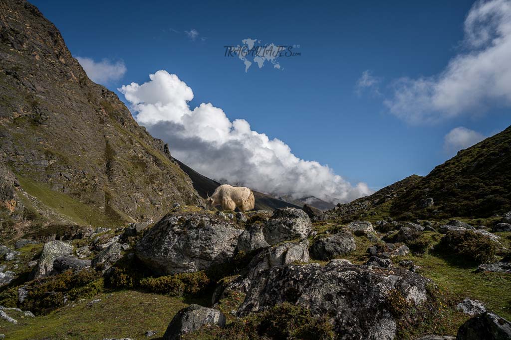 Campo base del Everest y Gokyo - De camino a Gokyo