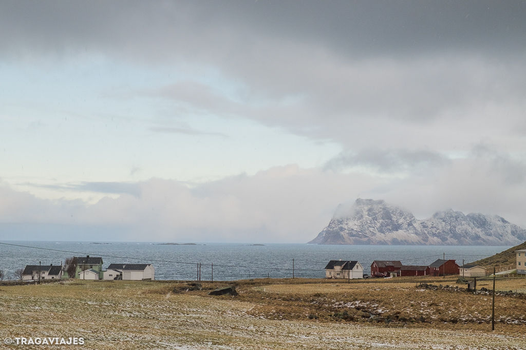 Curiosidades de Lofoten