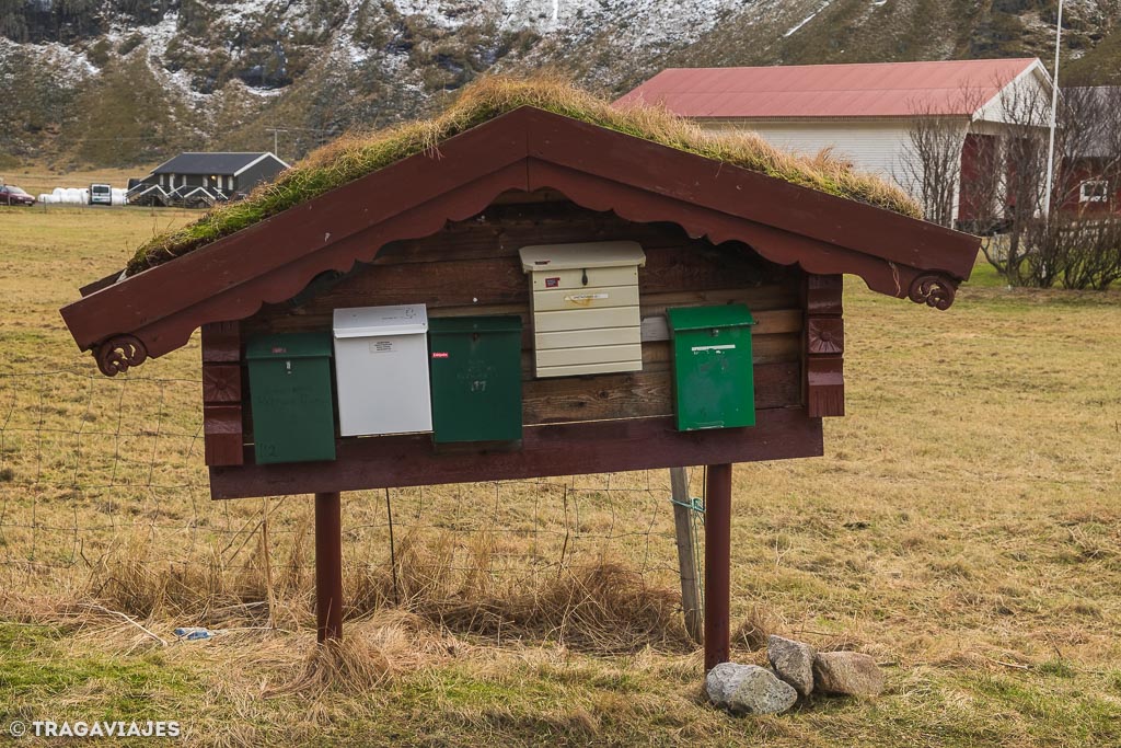 Curiosidades de Lofoten