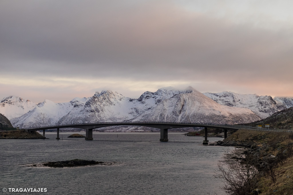 Curiosidades de Lofoten