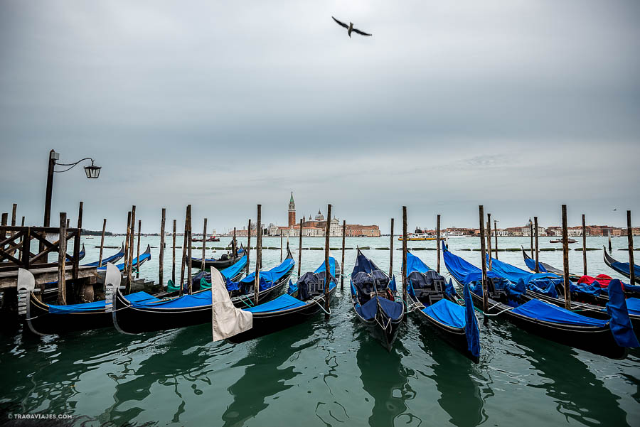 curiosidades de venecia