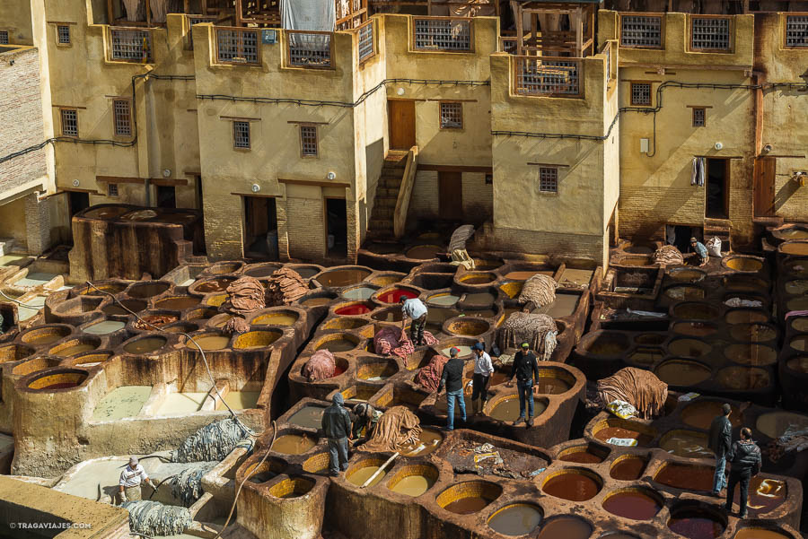 Curtiduría de Fez, Marruecos