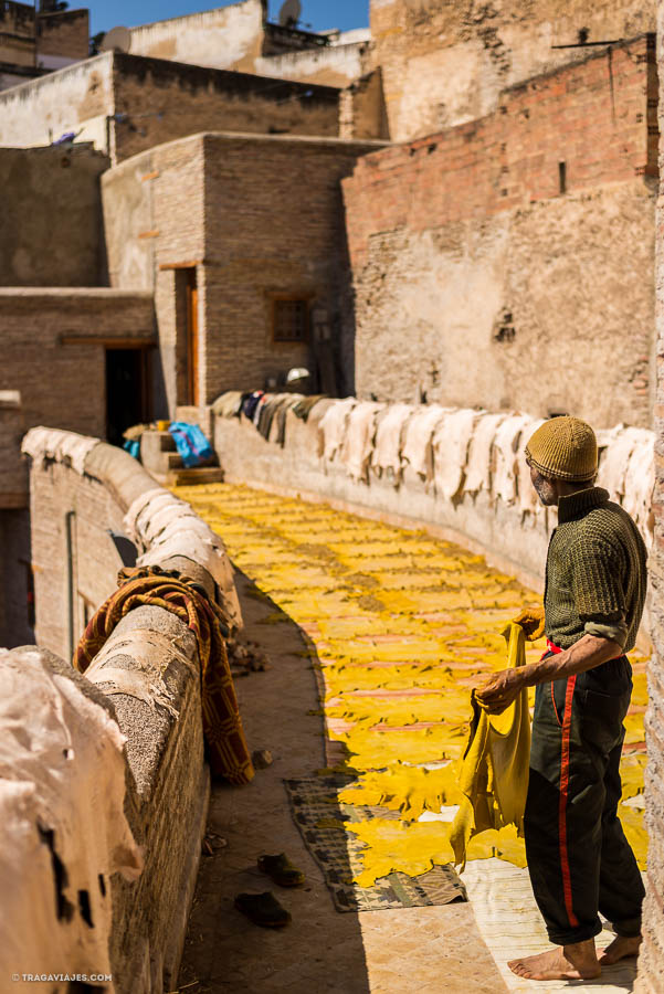 qué ver en Fez, Marruecos