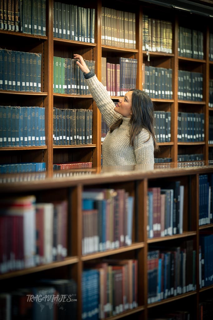 Guía de Nueva York - Visitar la Biblioteca Pública de Nueva York