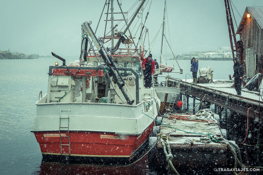 Qué ver en las islas Lofoten y qué hacer - Puerto de Stamsund