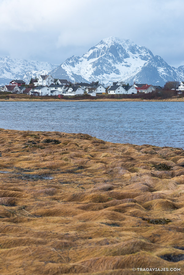 Ruta en coche por las islas Lofoten