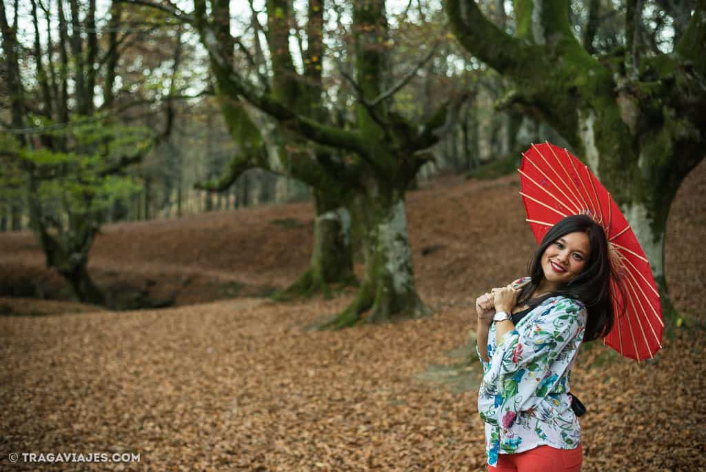 hayedo-de-otzarreta-bosque-gorbeia-pais-vasco-10