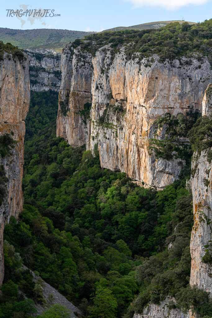 Foces de Navarra - Foz de Arbayún