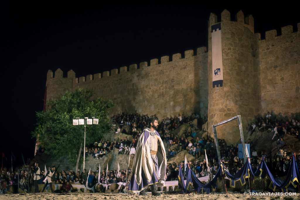 Jornadas Medievales de Ávila