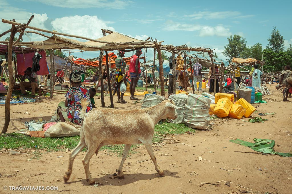 timados en etiopia