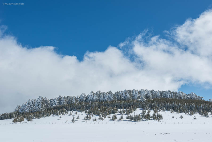 Ifrane , Marruecos