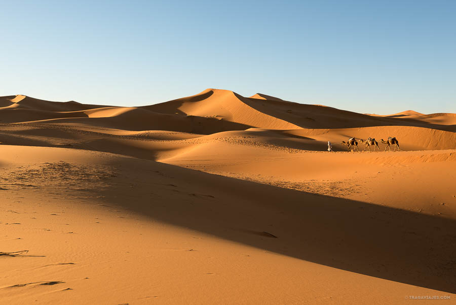 Desierto de Merzouga, dunas de Erg Chebbi, Marruecos