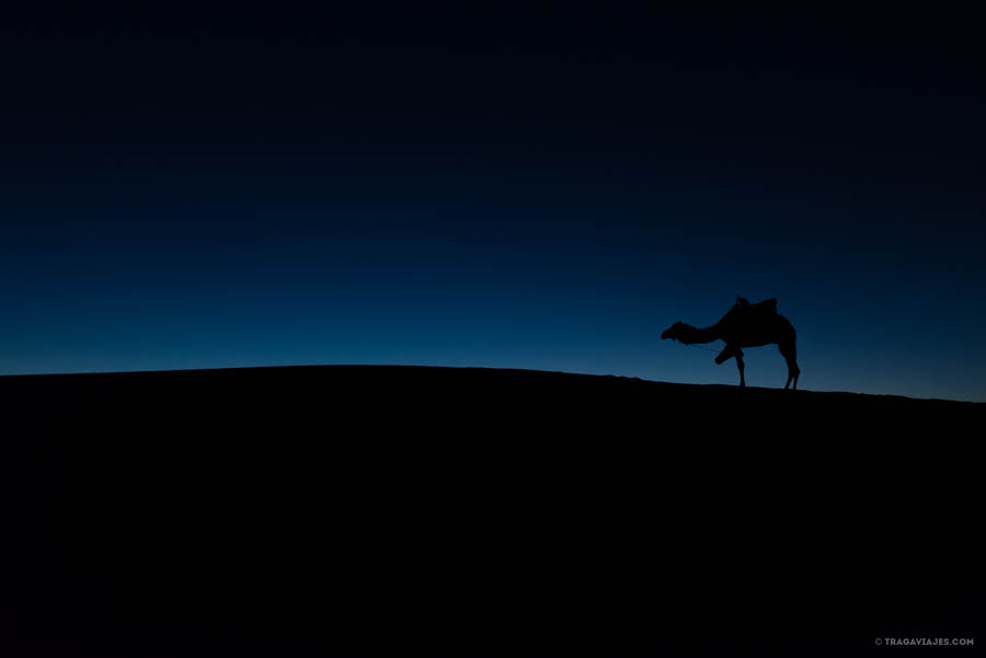 Desierto de Merzouga, dunas de Erg Chebbi, Marruecos