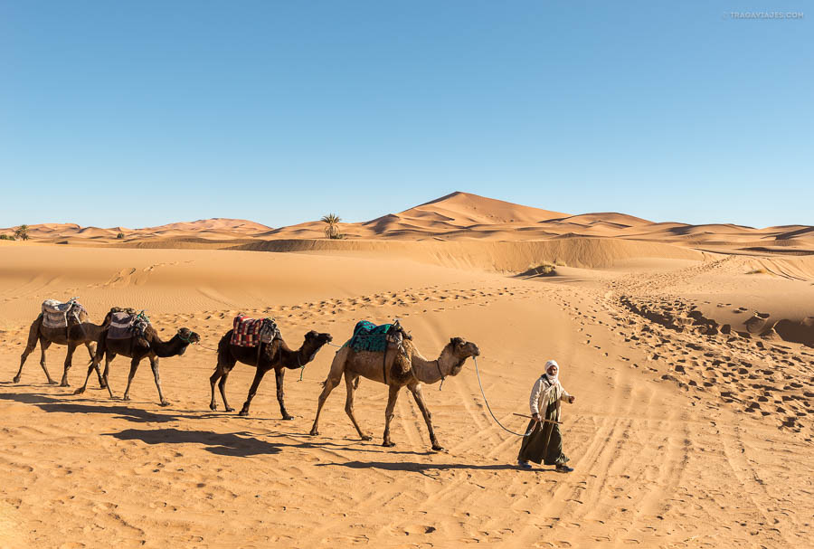 Desierto de Merzouga, dunas de Erg Chebbi, Marruecos