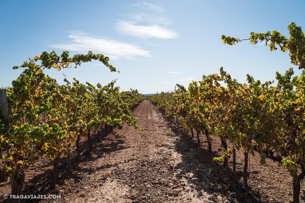 Montilla, Córdoba