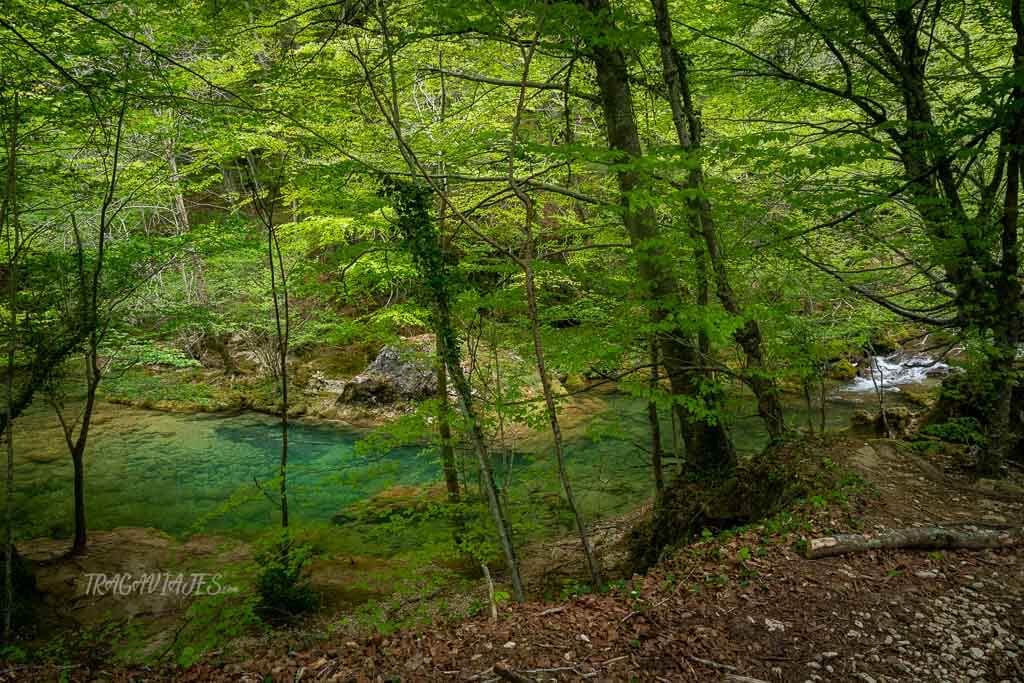 Color del río Urederra