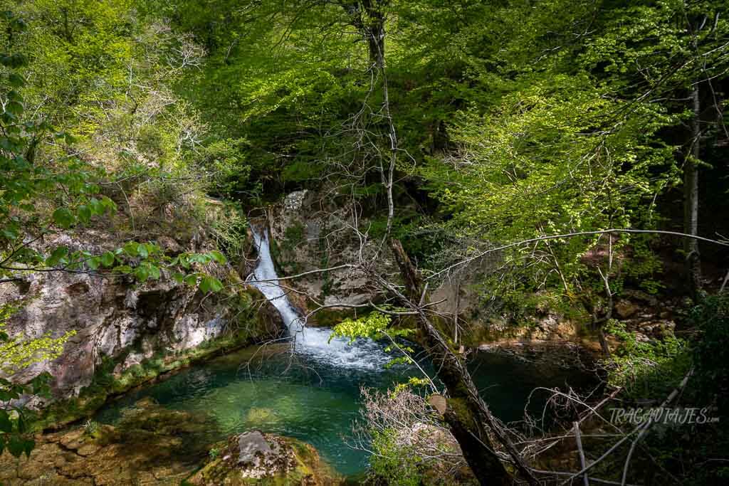 Ruta al nacedero de Urederra - Cascadas