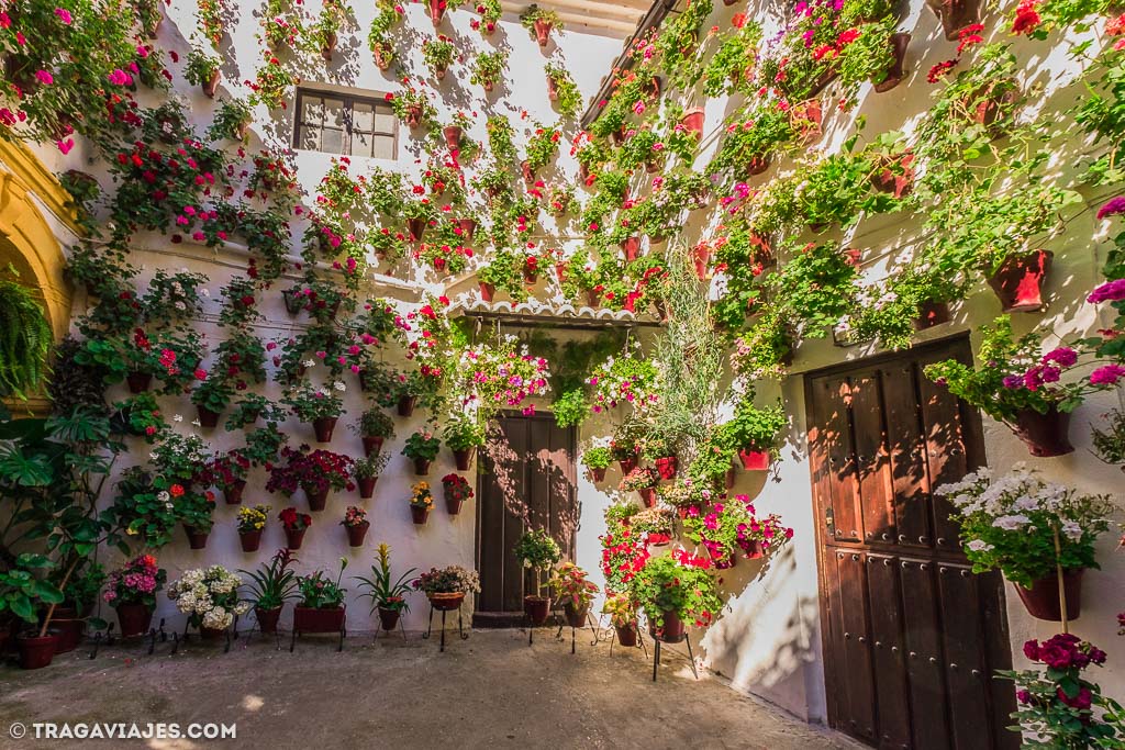 Los patios de Córdoba