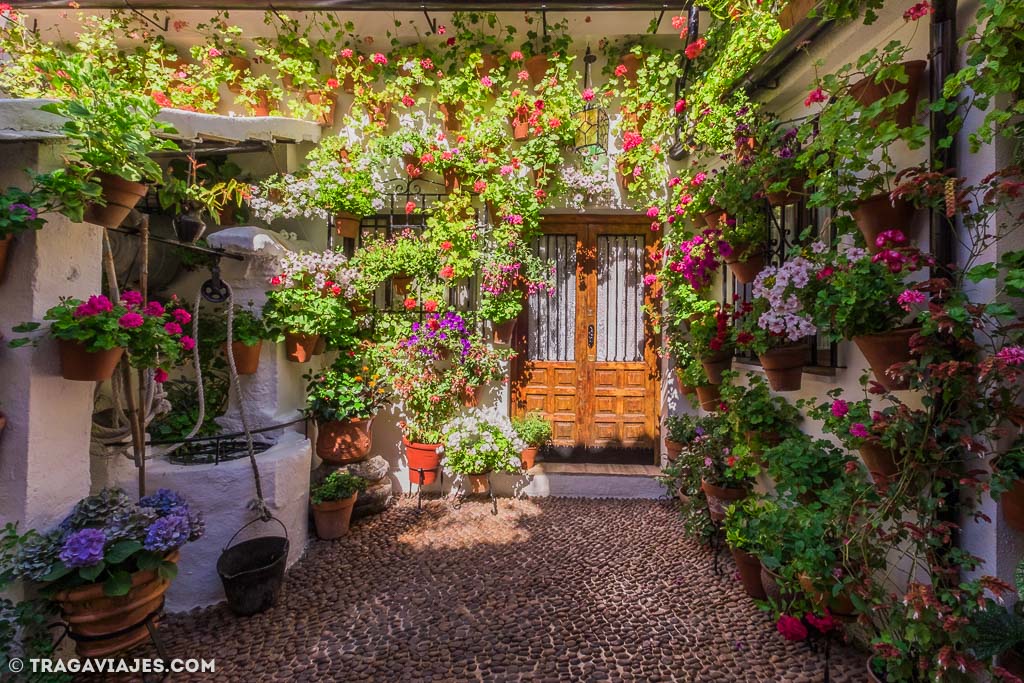 Los patios de Córdoba