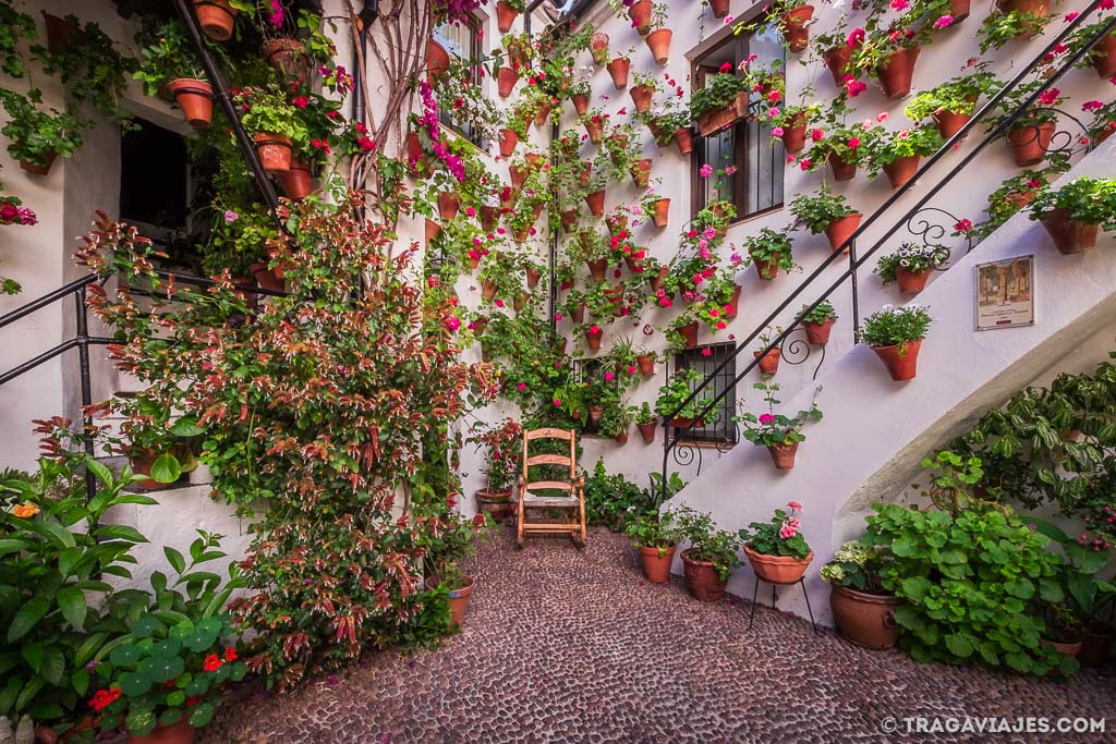 Los patios de Córdoba