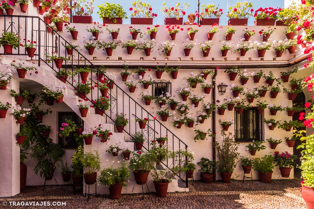 Los patios de Córdoba