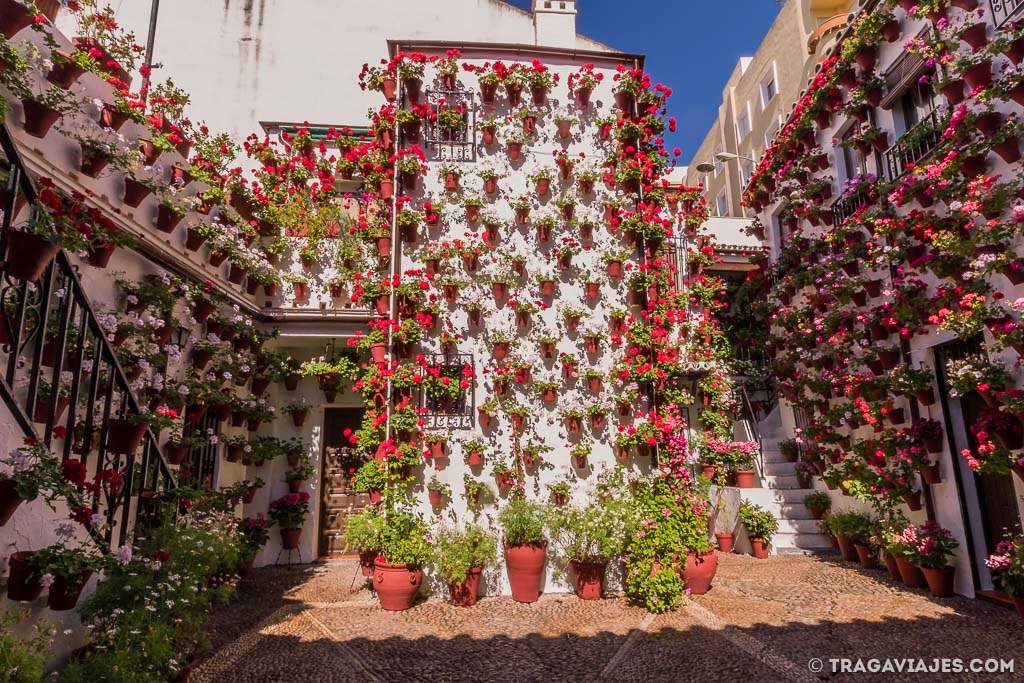 Los patios de Córdoba