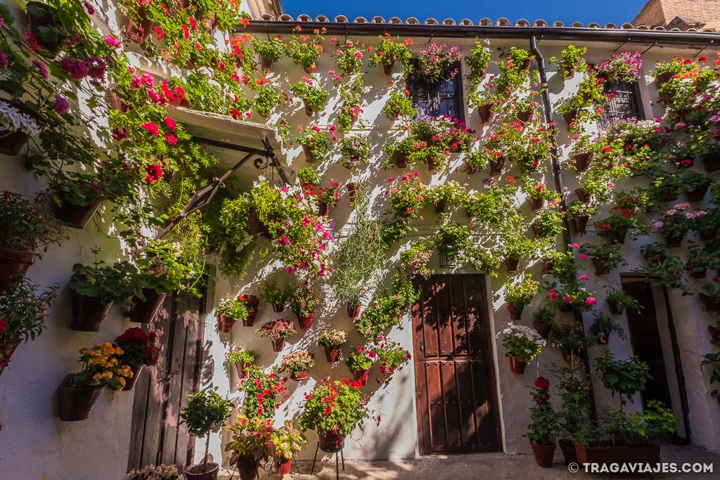 Los patios de Córdoba