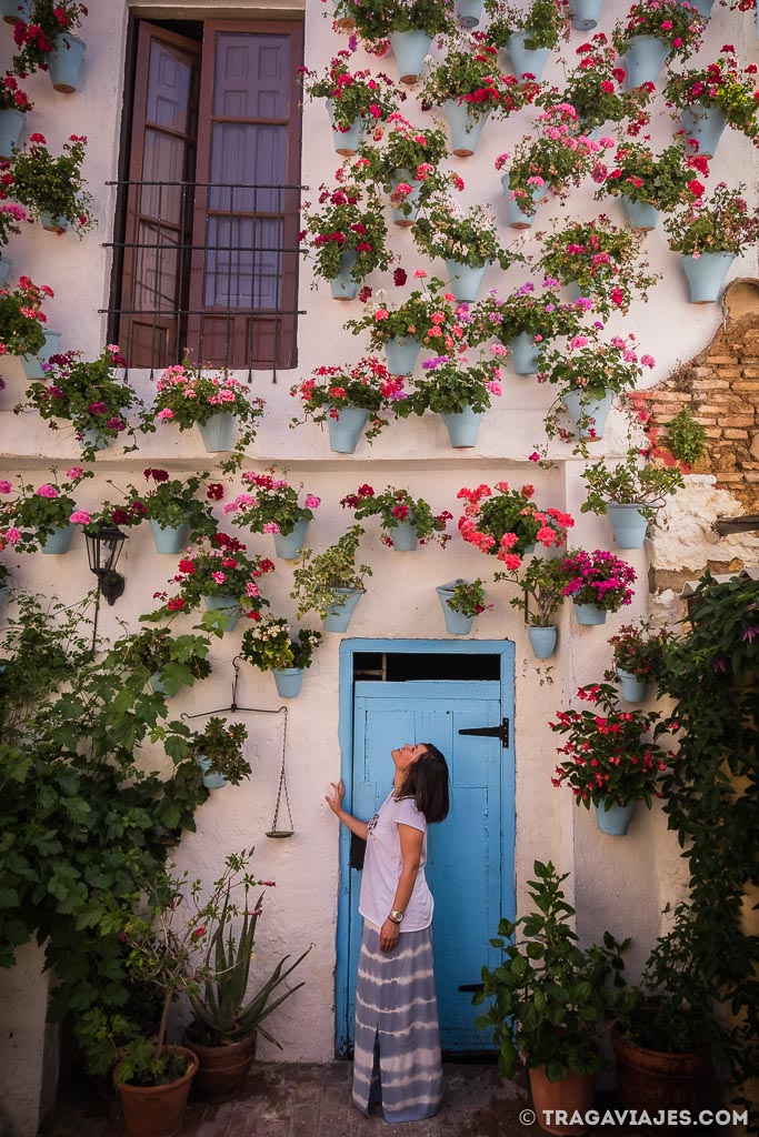 Los patios de Córdoba