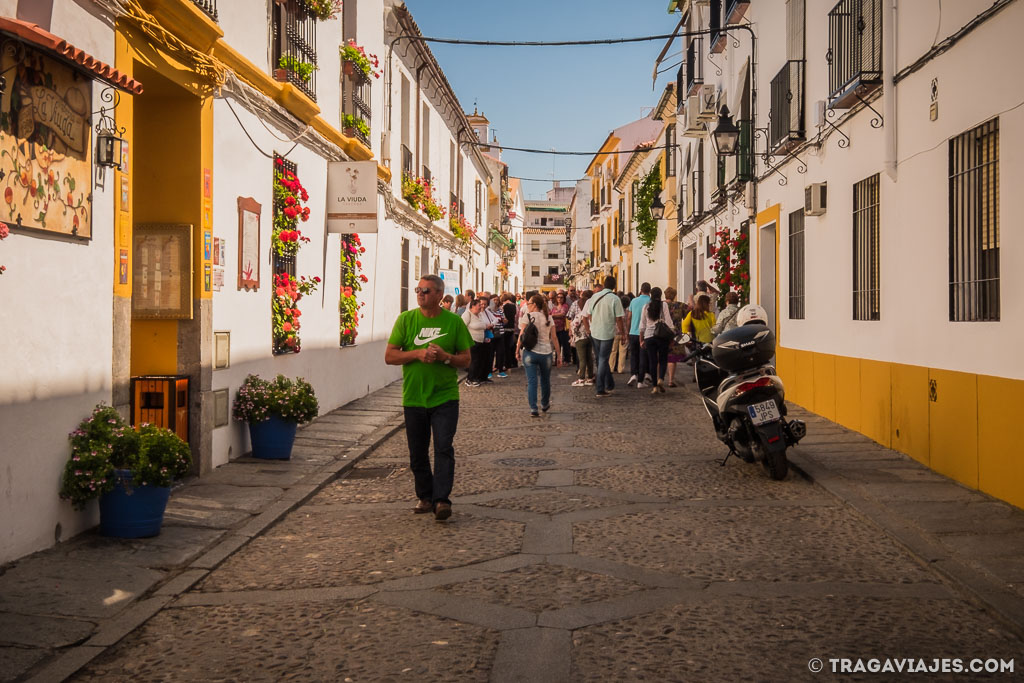 Los patios de Córdoba