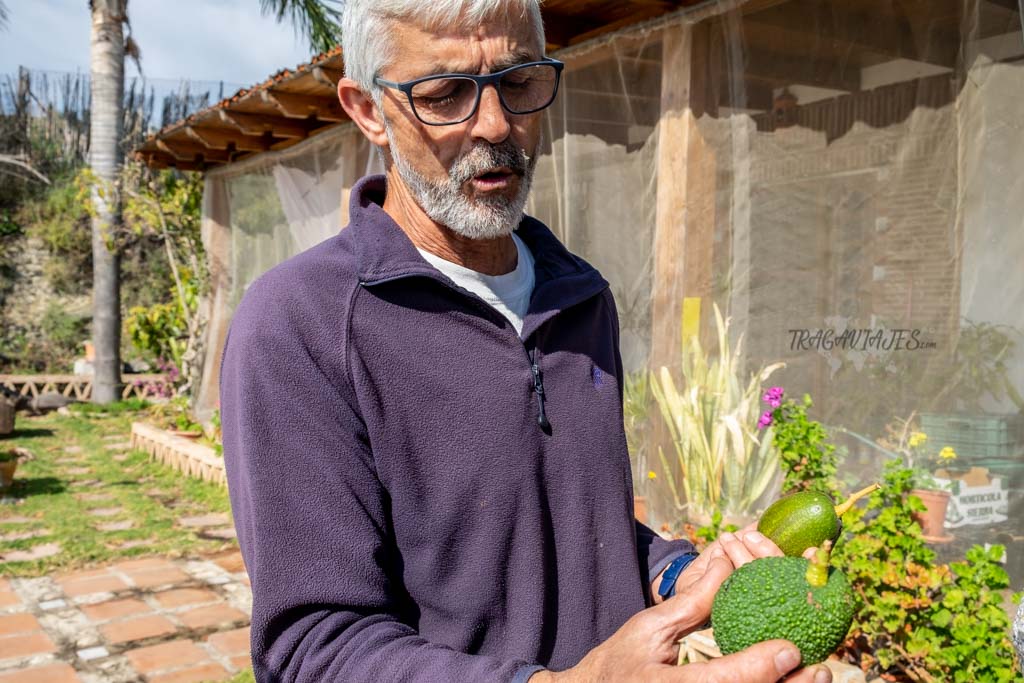 Qué hacer en Salobreña- Visita guiada Finca Matagallares