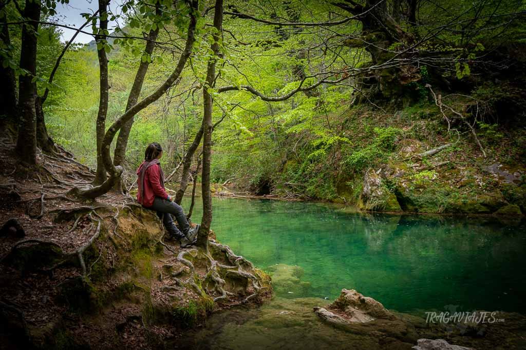 Ruta por Navarra - Nacedero de Urederra