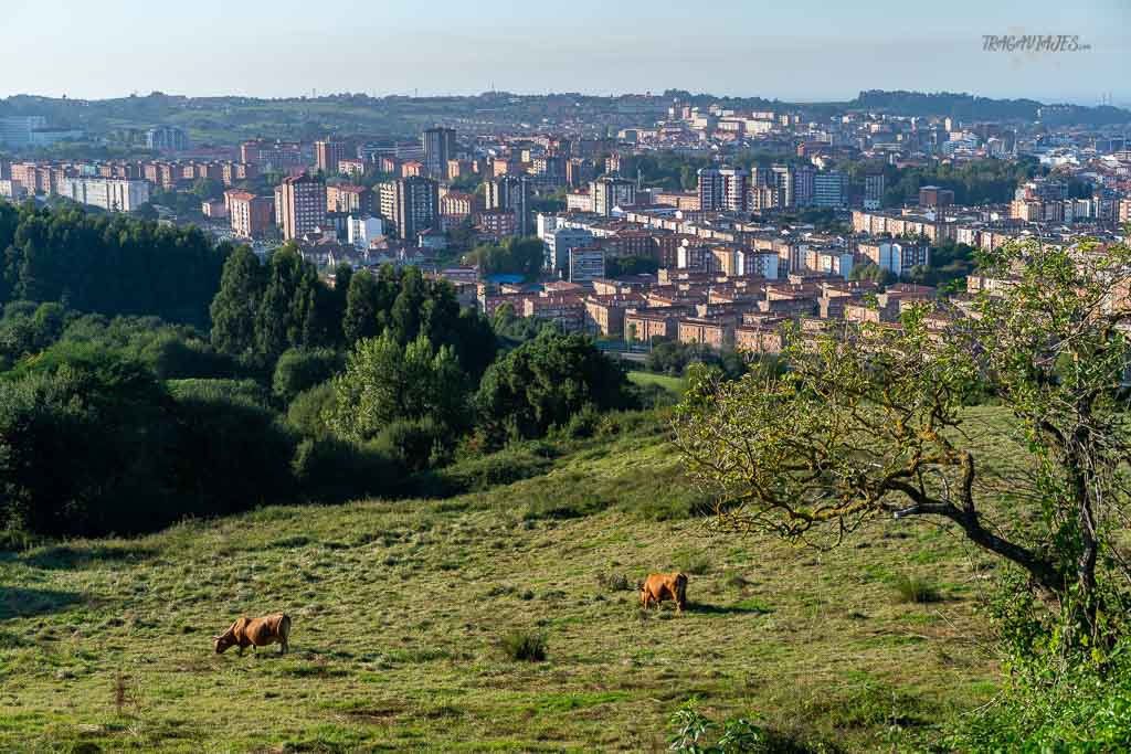 Vistas de Avilés - Vistas de Avilés