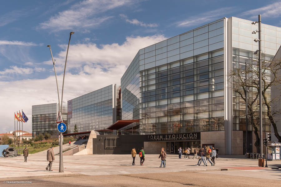 Museos de Burgos - Museo de la evolución humana