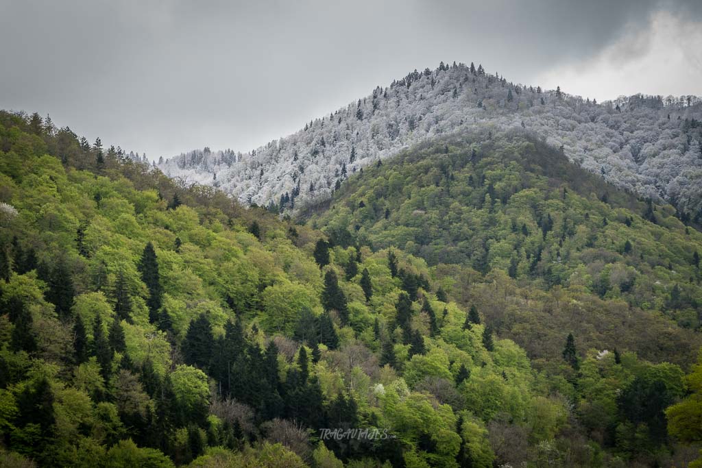 Trekkings en Georgia - Parque Nacional Borjomi