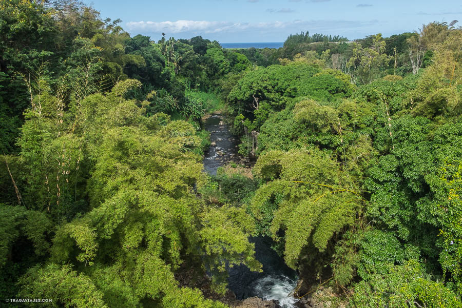 Qué ver en isla Mauricio y qué hacer