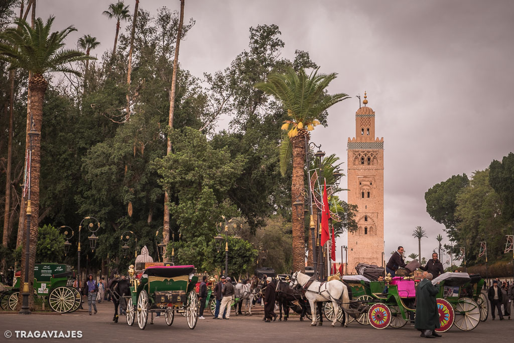 que ver en marrakech que hacer marruecos