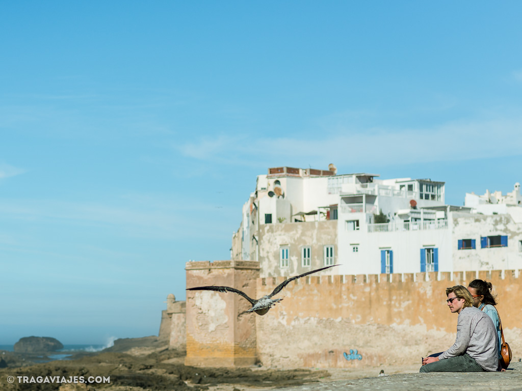 ▷ La danza del vientre en Marruecos