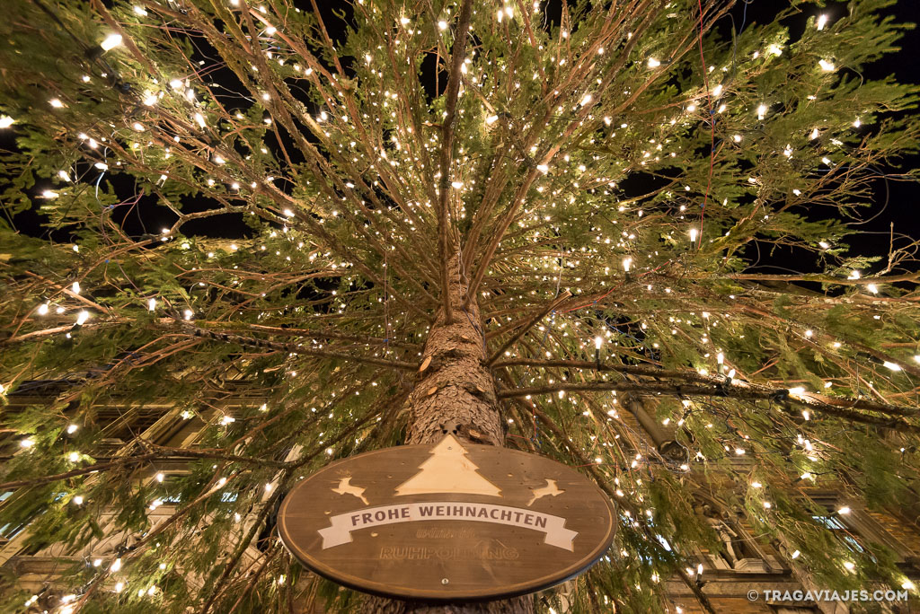 qué ver en múnich y alrededores en navidad