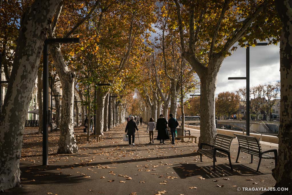 qué ver en narbona francia