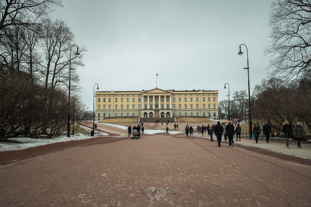 Planes de Oslo en Invierno - Visitar el Palacio Real