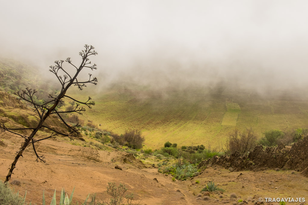 que ver en gran canaria y que hacer