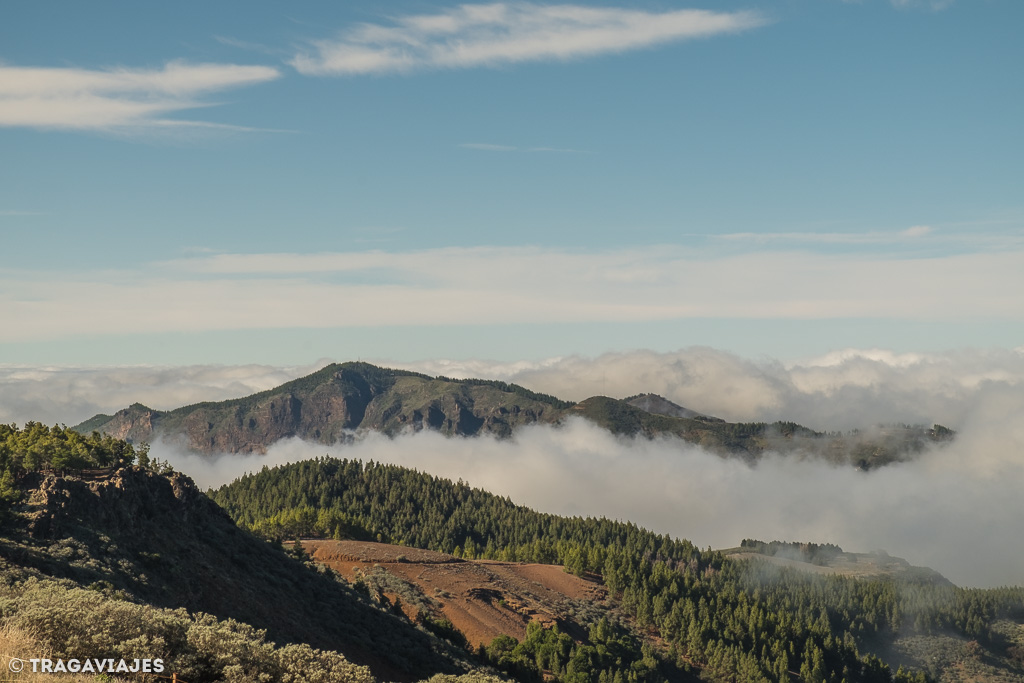 que ver en gran canaria y que hacer