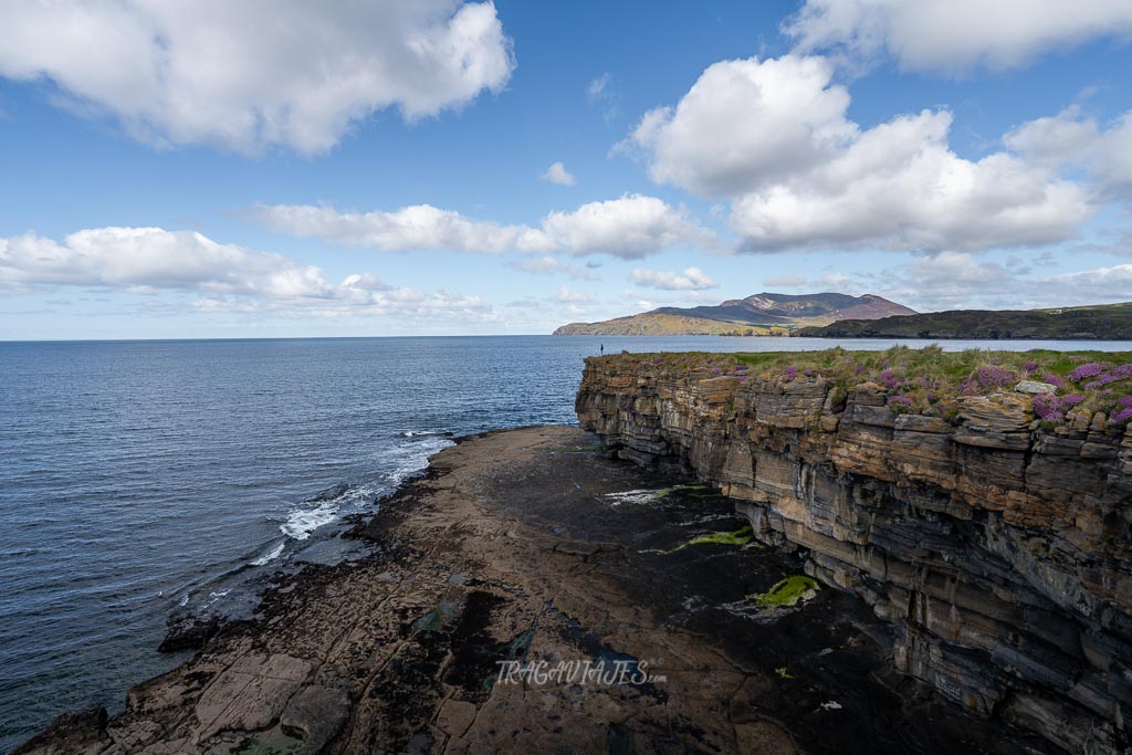 Ruta en coche por Irlanda - Muckros Heard