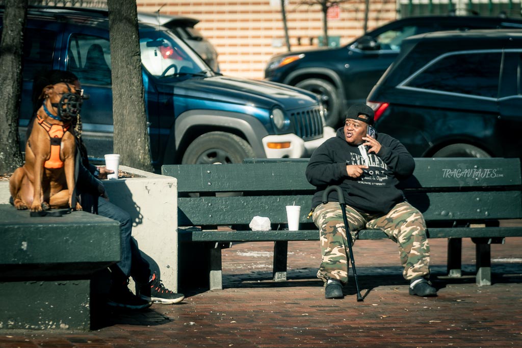 Excursiones de Nueva York - El Bronx