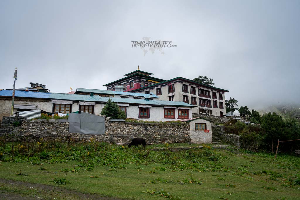 Trekking al campo base del Everest - Monasterio de Tengboche