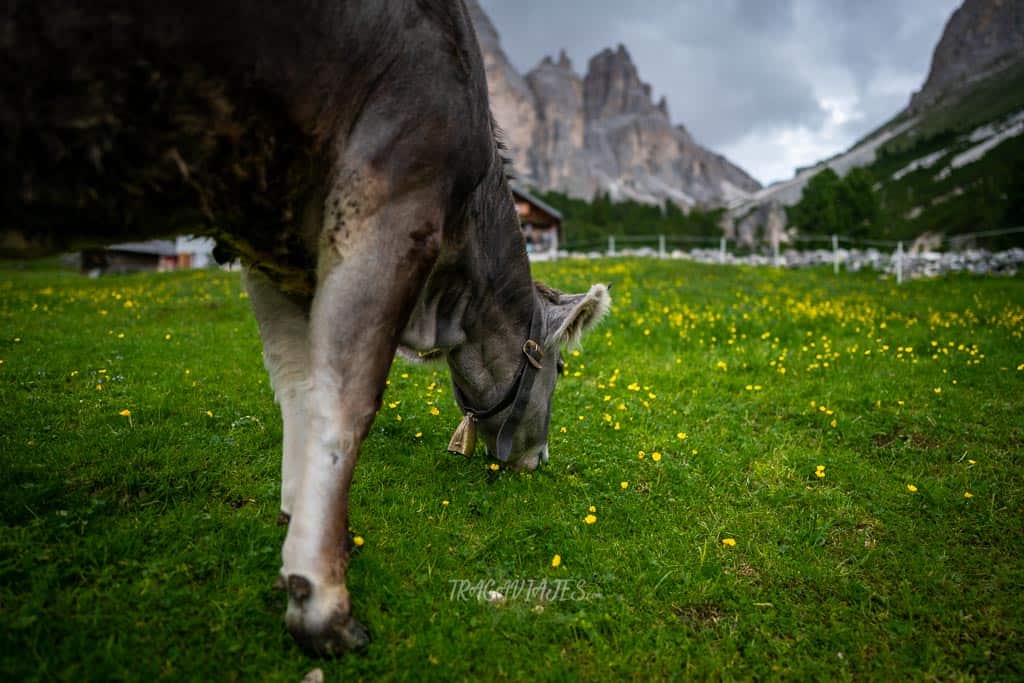 De camino a las Torres de Vajolet en los Dolomitas - Gardeccia