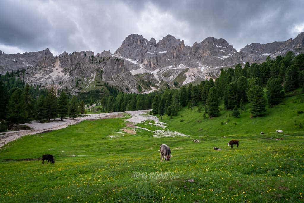 De camino a las Torres de Vajolet en los Dolomitas