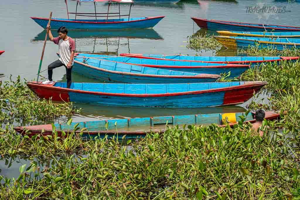 Viajar a Nepal qué ver - Pokhara