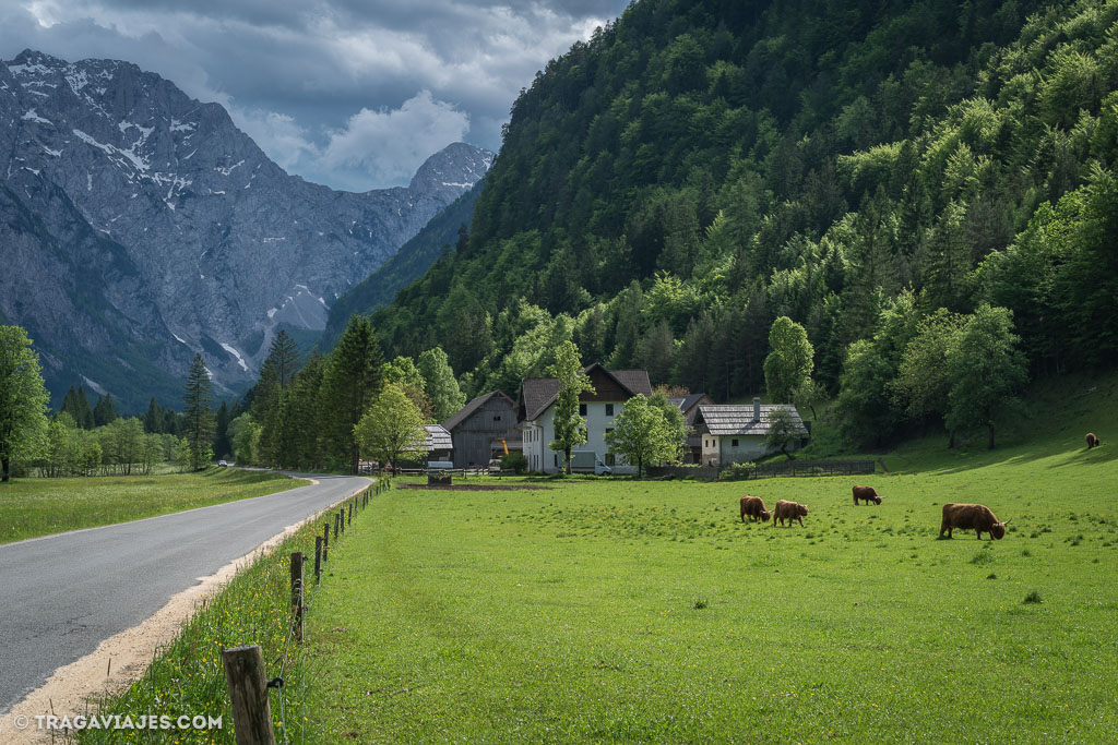 viajar a Eslovenia