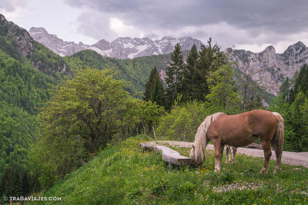 viajar a Eslovenia